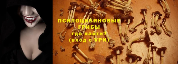 прущие грибы Кулебаки