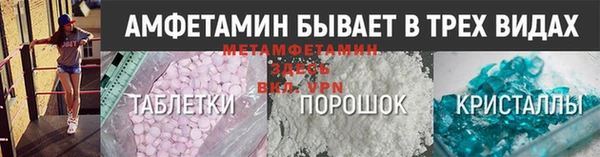 прущие грибы Кулебаки