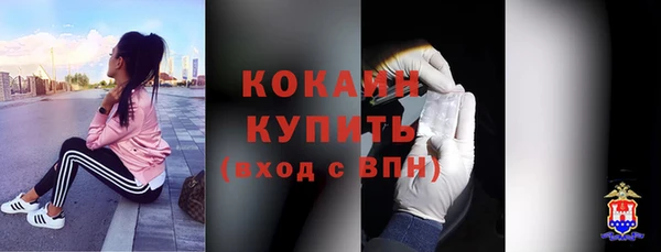 прущие грибы Кулебаки