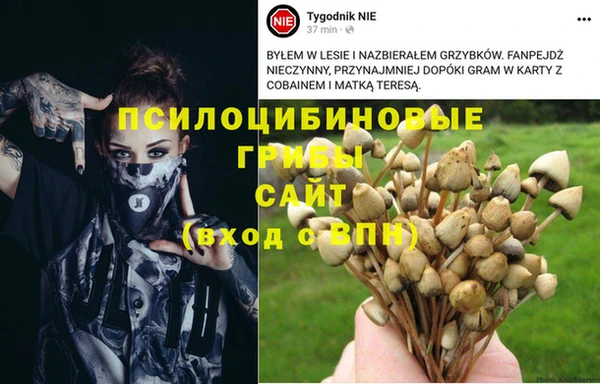 прущие грибы Кулебаки