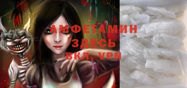 прущие грибы Кулебаки